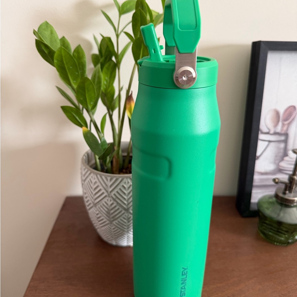 Stanley Iceflow Green Bottle